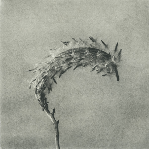 Grana Photogravure